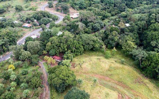 Property with views, river, forest, mango plantation and potential to develop any project. – 400052042168