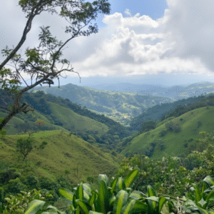 atenas mountain view