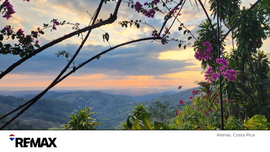 Atenas Your Paradise